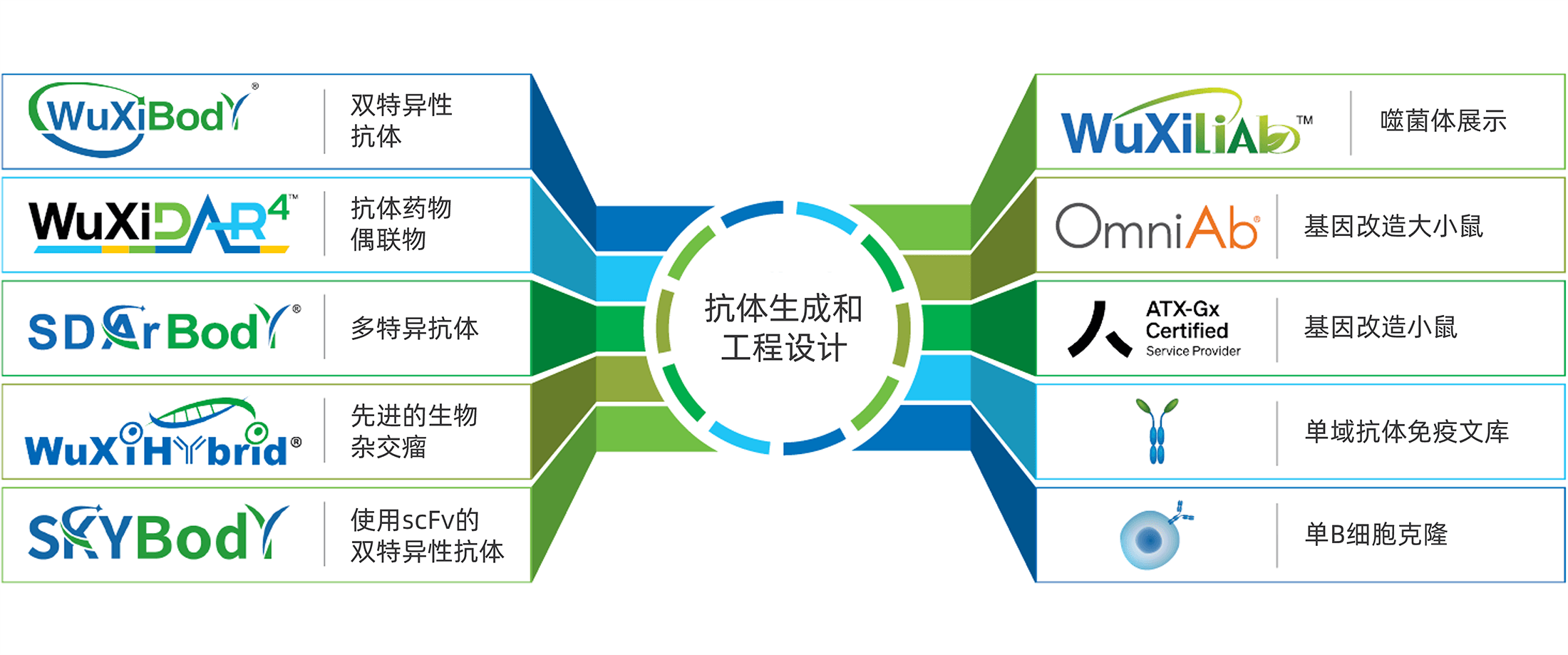 九游会·J9 - 中国官方网站 | 真人游戏第一品牌