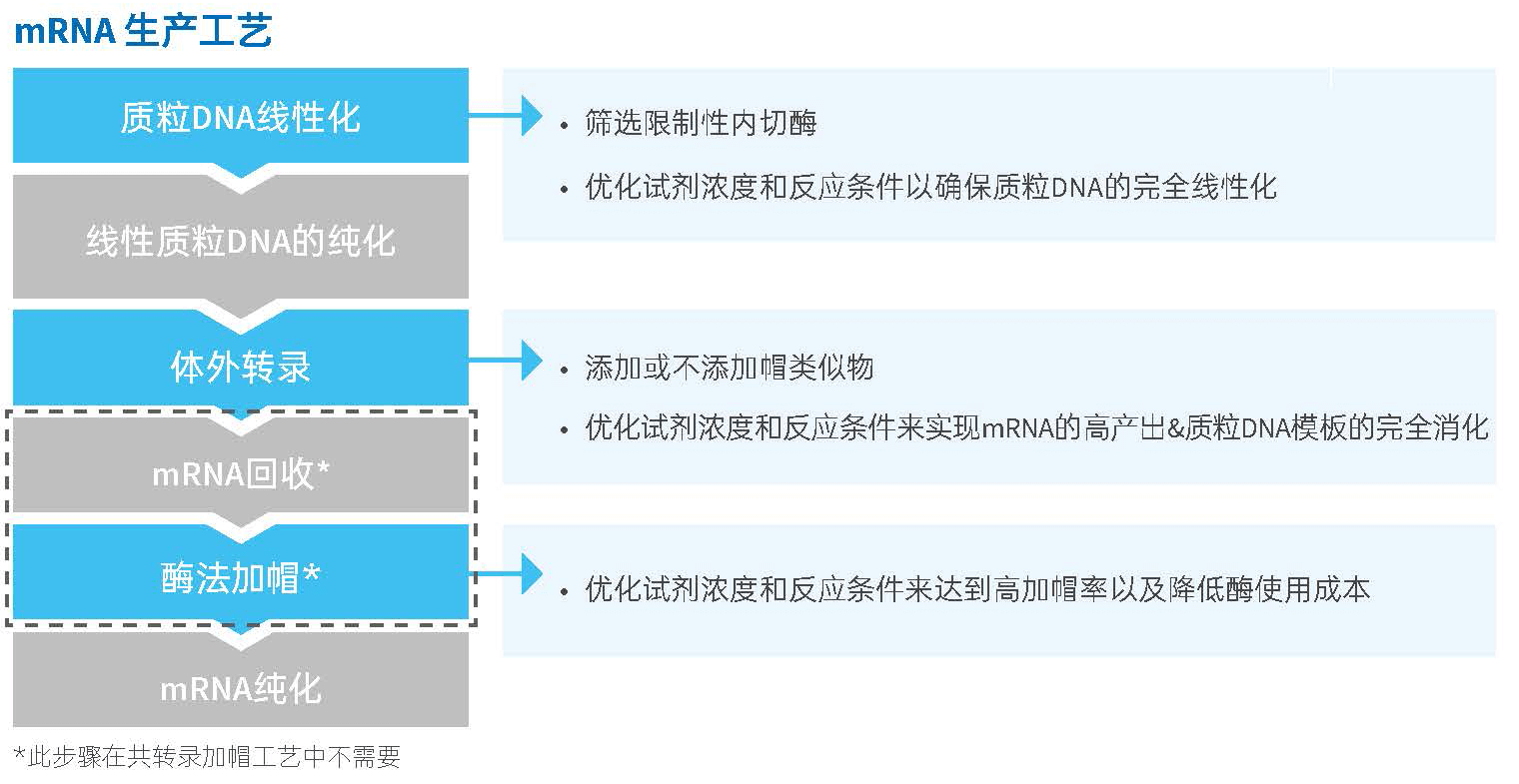 九游会·J9 - 中国官方网站 | 真人游戏第一品牌