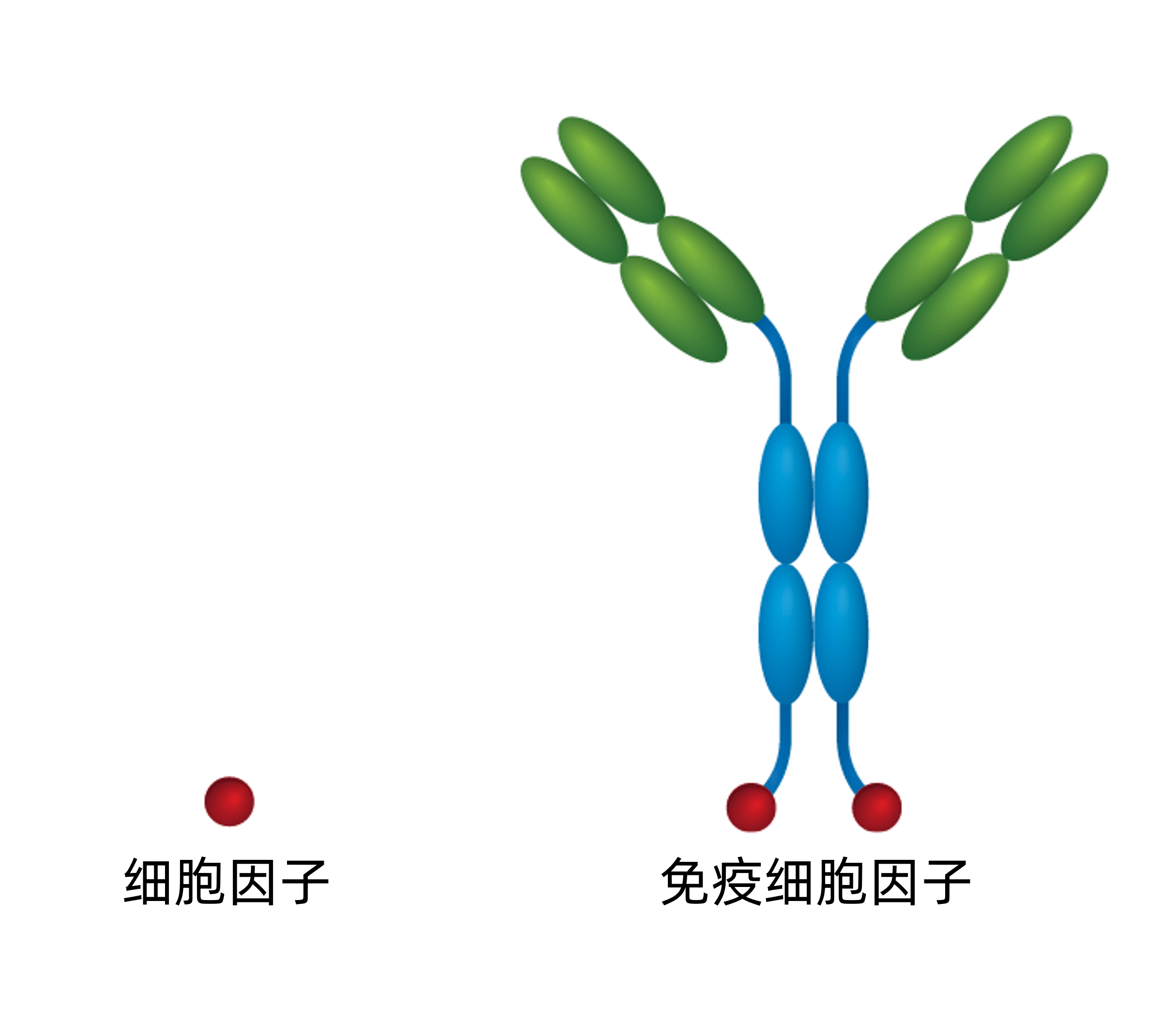 九游会·J9 - 中国官方网站 | 真人游戏第一品牌