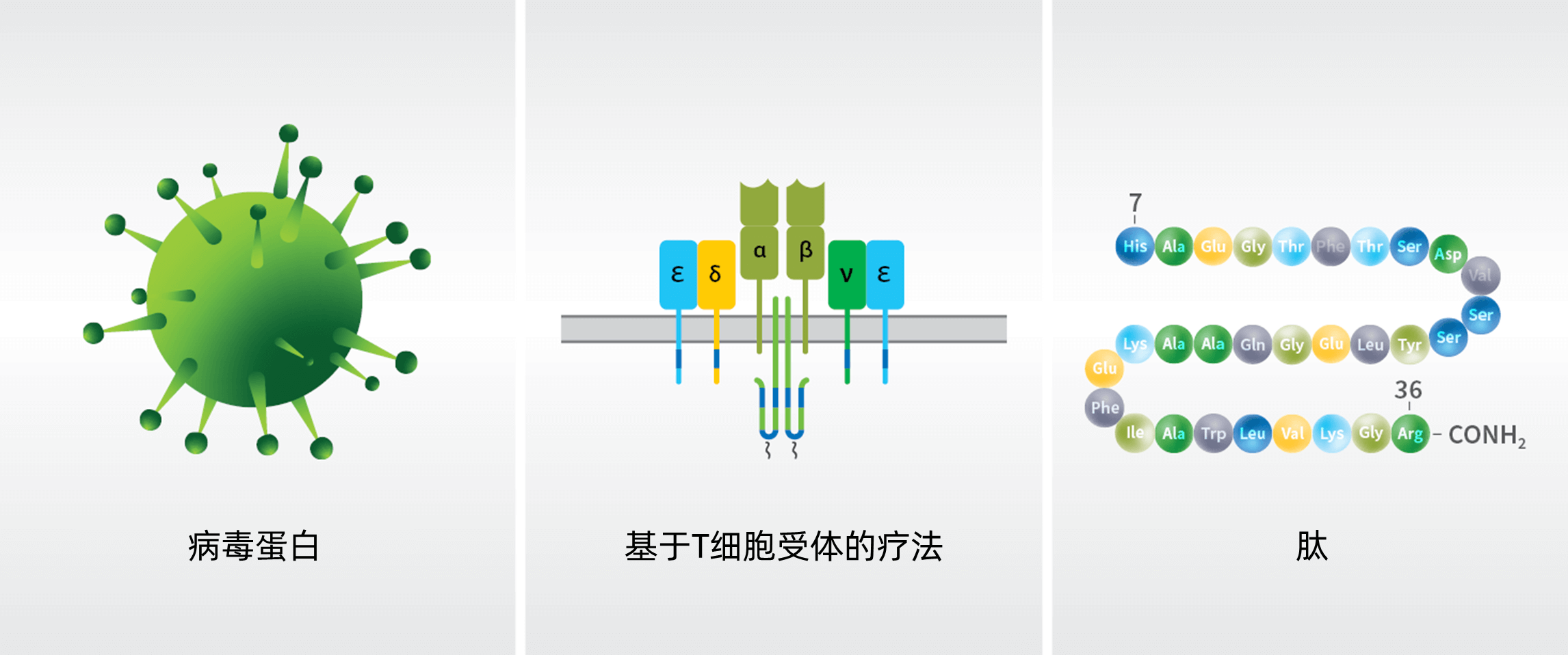 九游会·J9 - 中国官方网站 | 真人游戏第一品牌