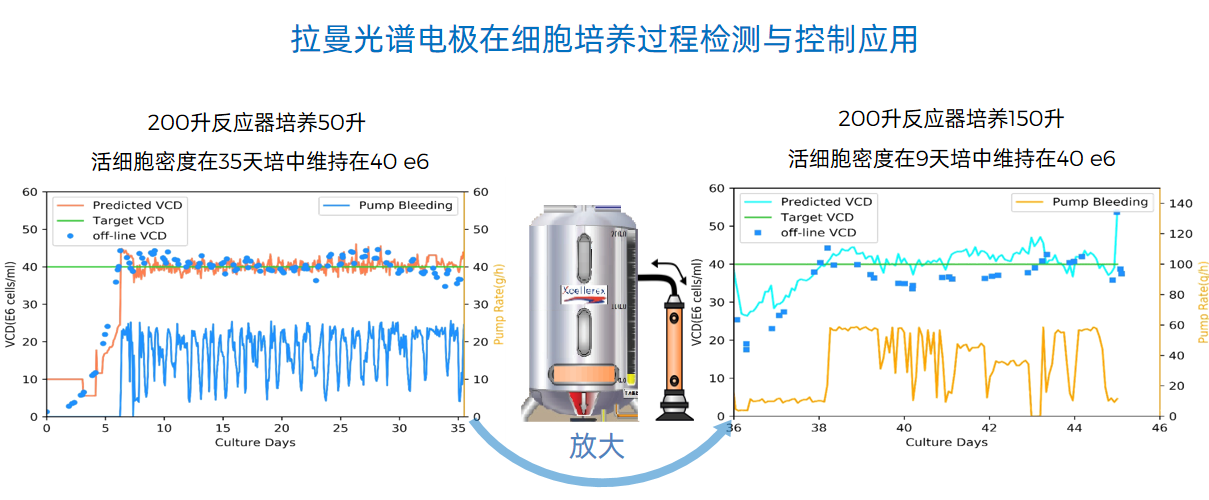 拉曼光谱电极在细胞作育历程检测与控制应用